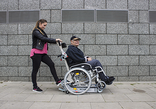 Sportiv BSA-S Sportiv BSA-S